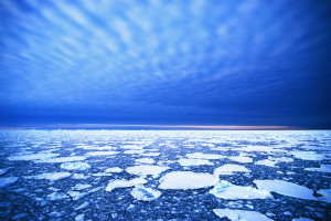 Pack Ice Floating on Frigid Waters Antarctica